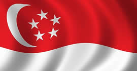 Singapore flag