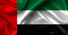 UAE flag